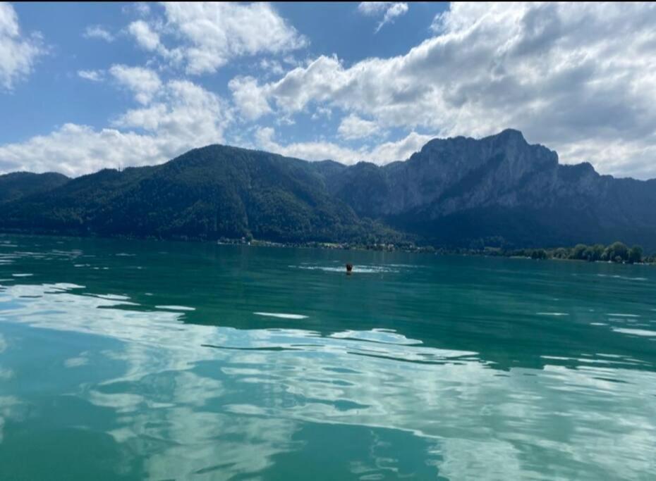Die Feelgood-Wohnung Am Mondsee Dış mekan fotoğraf